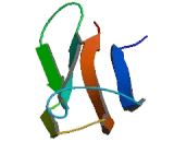 C2 Calcium Dependent Domain Containing Protein 2 (C2CD2)