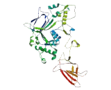 C2 Calcium Dependent Domain Containing Protein 3 (C2CD3)