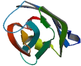 C2 Calcium Dependent Domain Containing Protein 4A (C2CD4A)