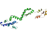 C2 Calcium Dependent Domain Containing Protein 5 (C2CD5)