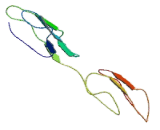 C4 Binding Protein Beta (C4BPb)