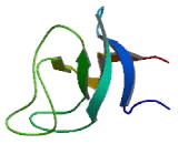 CAP-Gly Domain Containing Linker Protein 2 (CLIP2)