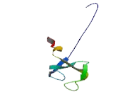 CAP-Gly Domain Containing Linker Protein 4 (CLIP4)