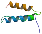 CAS1 Domain Containing Protein 1 (CASD1)