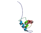 CASK Interacting Protein 1 (CASKIN1)