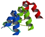 CASK Interacting Protein 2 (CASKIN2)