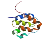 CASP2 And RIPK1 Domain Containing Adaptor With Death Domain Protein (CRADD)