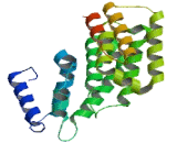 CBP80/CBP20 Dependent Translation Initiation Factor (CTIF)