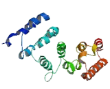 CCR4 NOT Transcription Complex Subunit 1 (CNOT1)