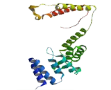 CCR4 NOT Transcription Complex Subunit 10 (CNOT10)