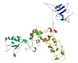 CCR4 NOT Transcription Complex Subunit 2 (CNOT2)