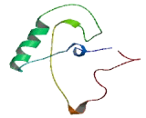 CCR4 NOT Transcription Complex Subunit 3 (CNOT3)