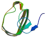 CCR4 NOT Transcription Complex Subunit 6 Like Protein (CNOT6L)