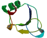 CD2 Binding Protein 2 (CD2BP2)