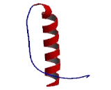 CDC42 Effector Protein 5 (CDC42EP5)