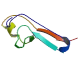 CDGSH Iron Sulfur Domain Protein 2 (CISD2)