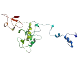 CDK5 Regulatory Subunit Associated Protein 3 (CDK5RAP3)