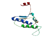 CDKN2A Interacting Protein N-Terminal Like Protein (CDKN2AIPNL)