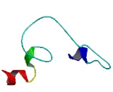 CKLF Like MARVEL Transmembrane Domain Containing Protein 1 (CMTM1)