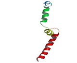 CLK4 Associating Serine/Arginine Rich Protein (CLASRP)