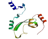 CMP Sialic Acid Transporter (CMPST)