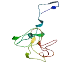 CMT1A Duplicated Region Transcript Protein 4 (CDRT4)