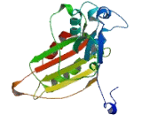 COBW Domain Containing Protein 7 (CBWD7)