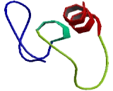 COMM Domain Containing Protein 4 (COMMD4)