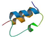 COMM Domain Containing Protein 9 (COMMD9)