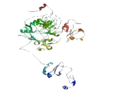 CREB Regulated Transcription Coactivator 1 (CRTC1)