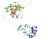 CREB Regulated Transcription Coactivator 2 (CRTC2)