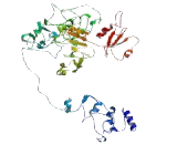 CREB Regulated Transcription Coactivator 3 (CRTC3)