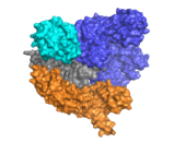 CRISPR Associated Protein 9, S pyogenes (Cas9)