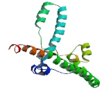 Functional Spliceosome Associated Protein c (fSAPc)