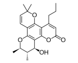 Calanolide A (CA)