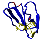 Calciseptine (CaS)