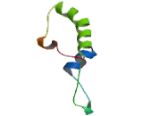 Calcitonin Receptor Like Protein (CALCRL)