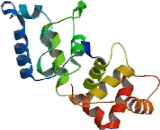 Calcium And Integrin Binding Protein 1 (CIB1)