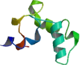 Calcium And Integrin Binding Protein 2 (CIB2)