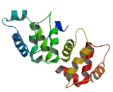 Calcium And Integrin Binding Protein 3 (CIB3)