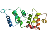 Calcium And Integrin Binding Protein 4 (CIB4)