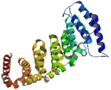 Calcium Binding 39 Like Protein (CAB39L)