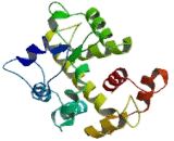 Calcium Uptake Protein 1, Mitochondrial (MICU1)