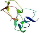 Calcium Binding Protein, Spermatid Specific 1 (CABS1)