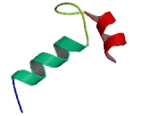 Calcium Binding Protein 1 (CABP1)