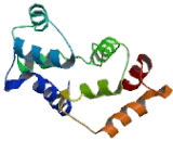 Calcium Binding Protein 2 (CABP2)