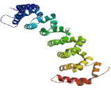 Calcium Binding Protein 39 (CABP39)