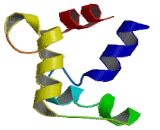 Calcium Binding Protein 4 (CABP4)