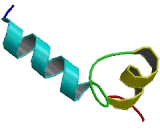 Calcium Binding Protein 7 (CABP7)