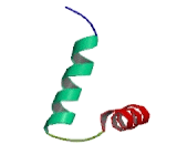 Calcium Binding Tyrosine Phosphorylation Regulated Protein (CABYR)